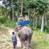 Thai 20 09